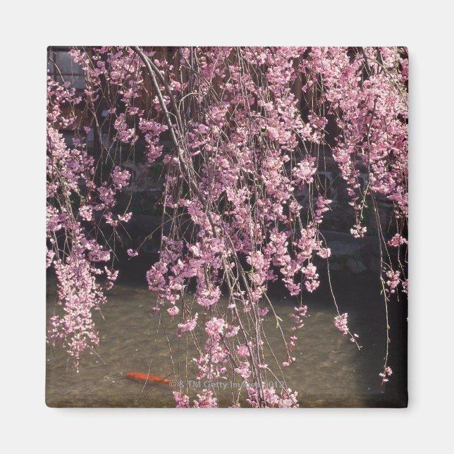 Aimant Gion, préfecture de Kyoto, Japon (Devant)