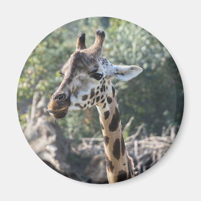 Aimant Girafe (Devant)
