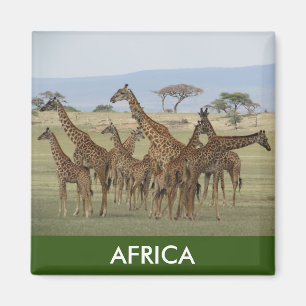 Aimant girafe afrique