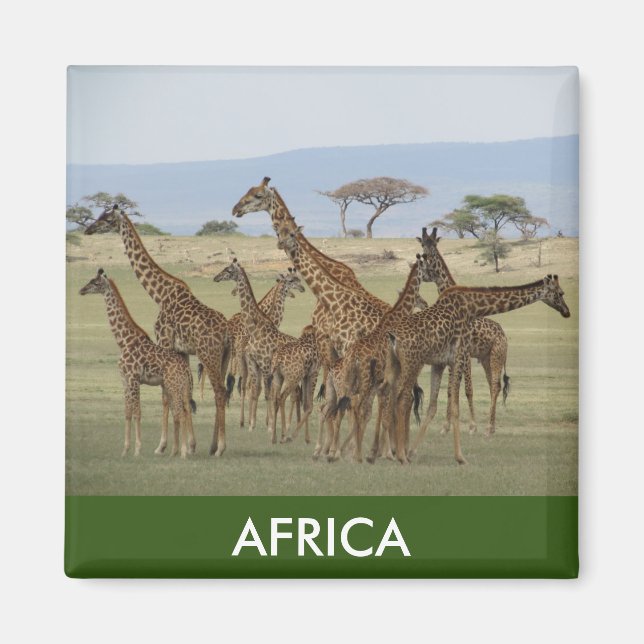 Aimant girafe afrique (Devant)