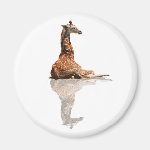 AIMANT GIRAFE DE BÉBÉ