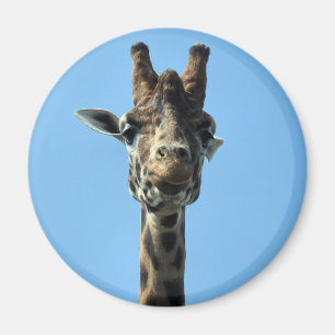AIMANT GIRAFFE