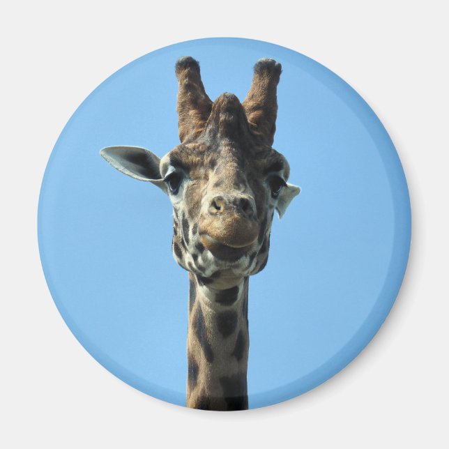 AIMANT GIRAFFE (Devant)