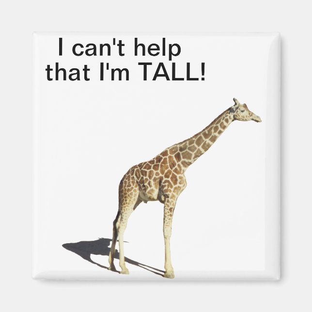 Aimant Giraffe (Devant)