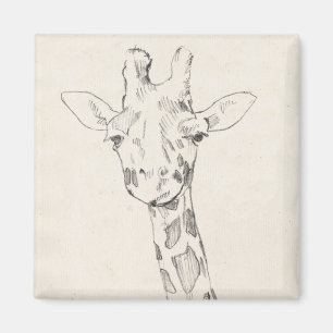 Aimant Giraffe Portrait   Croquis