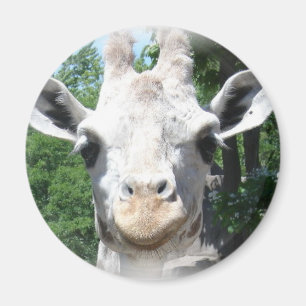 Aimant Giraffe souriante