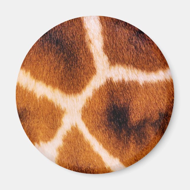 AIMANT GIRAFFES (Devant)