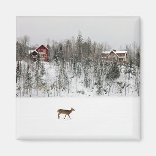 Aimant Glace et neige Cerf en Neige Québec, Canada