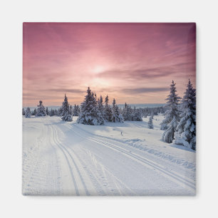 Aimant Glace et neige Lillehammer, Norvège