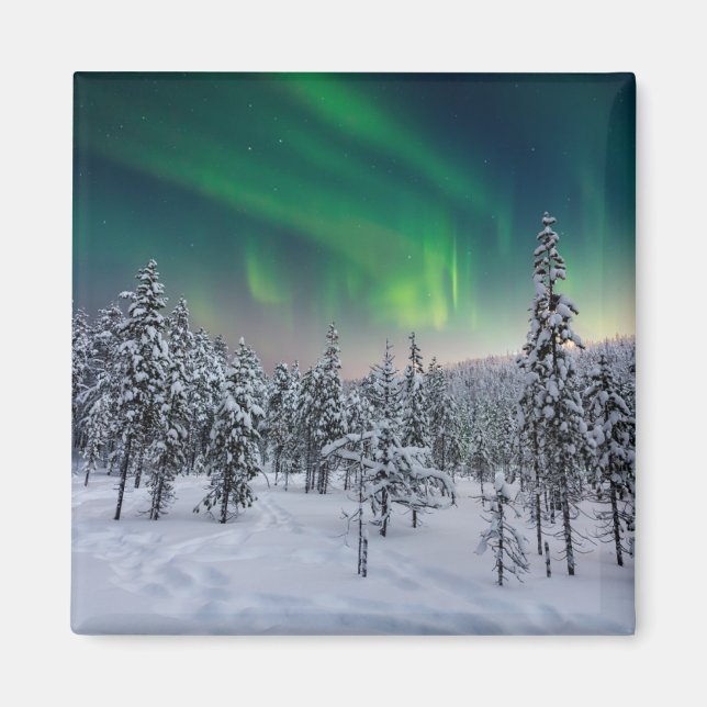 Aimant Glace et neige | Paysage d'hiver, Finlande (Devant)