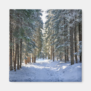 Aimant Glace et neige Tatra Mountains, Pologne