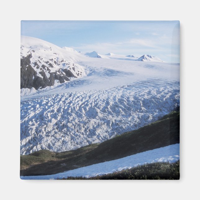Aimant Glacier Exit dans le parc national des fjords de K (Devant)