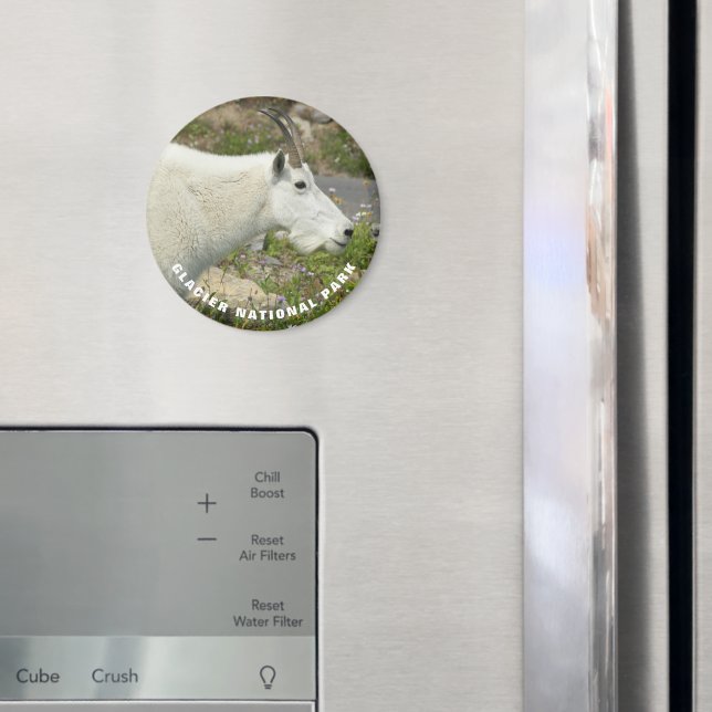 Aimant Glacier National Park Mountain Chèvre Photo (In situ (réfrigérateur))