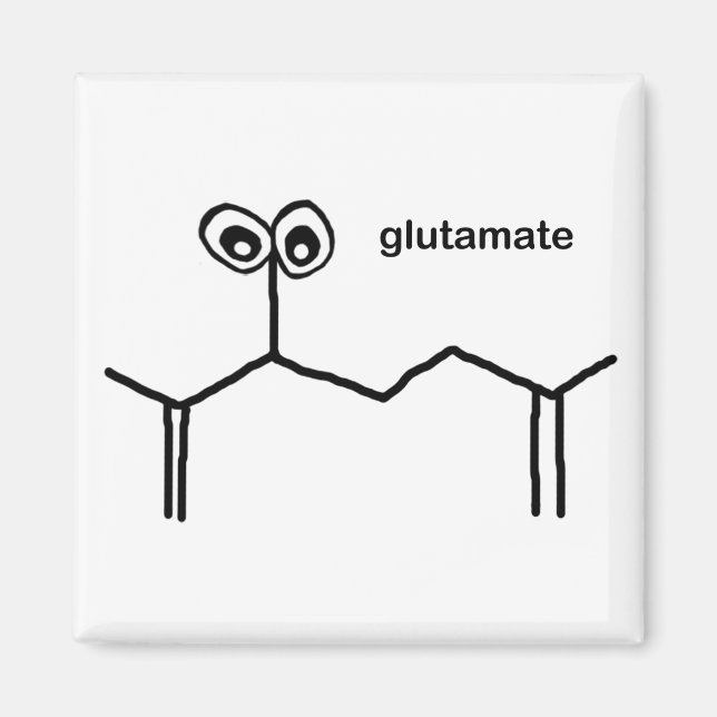Aimant glutamate (Devant)