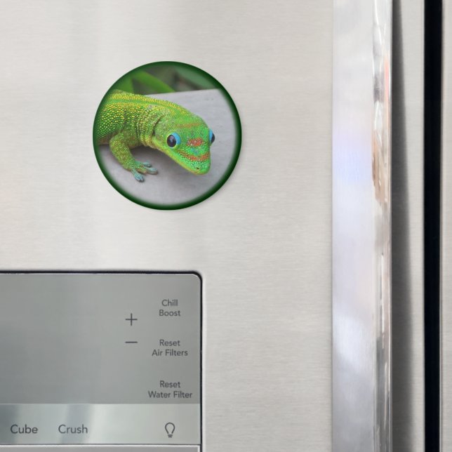Aimant Gold Dust Day Gecko – Audition and Get Some Gecko (In situ (réfrigérateur))