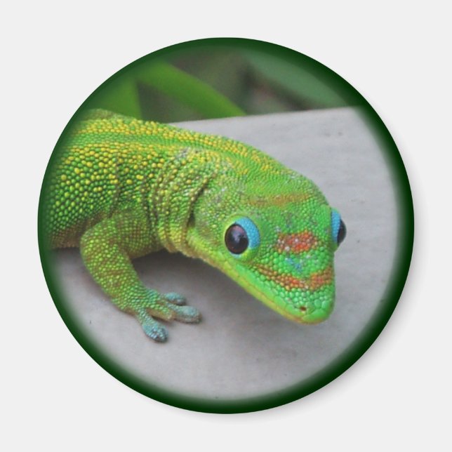 Aimant Gold Dust Day Gecko – Audition and Get Some Gecko (Devant)