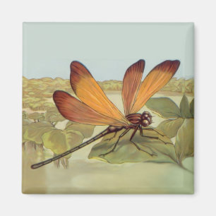 Aimant Golden Dragonfly