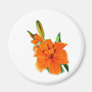 Aimant Golden Lily