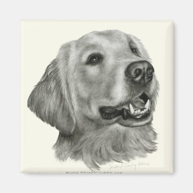 Aimant Golden Retriever (Devant)