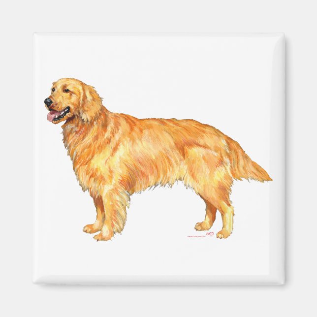 Aimant Golden Retriever (Devant)