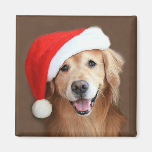 Aimant Golden Retriever Avec Santa Hat (Devant)