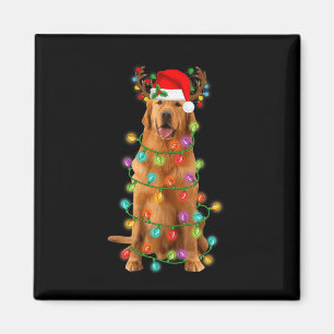 Aimant Golden Retriever Christmas Tree Lights Pyjama Chie