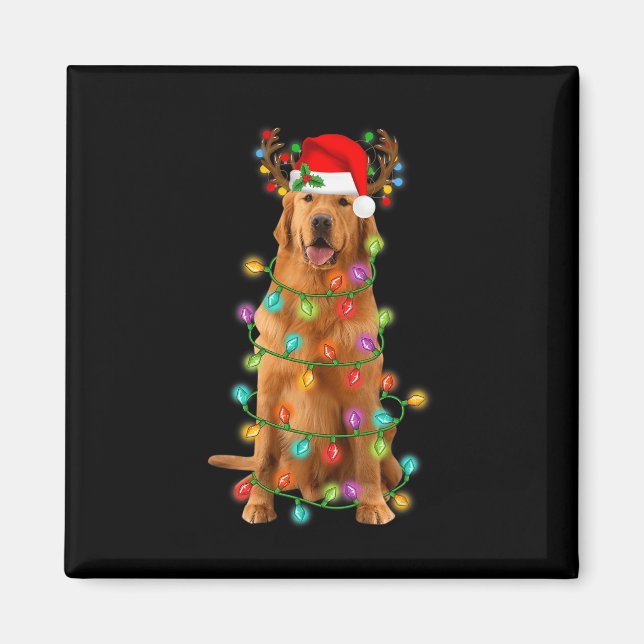Aimant Golden Retriever Christmas Tree Lights Pyjama Chie (Devant)