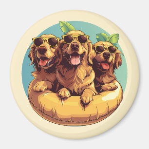 Aimant Golden Retriever Dogs - Flottes de la piscine d'ét