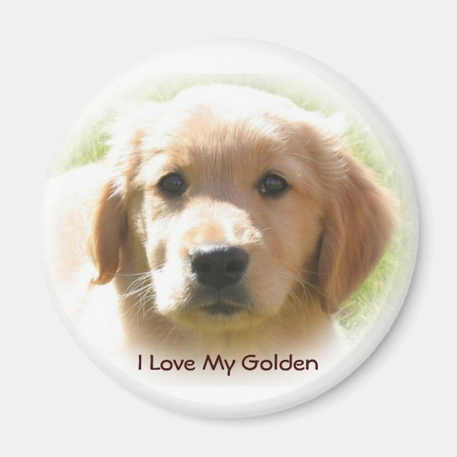 Aimant Golden Retriever Love (Devant)