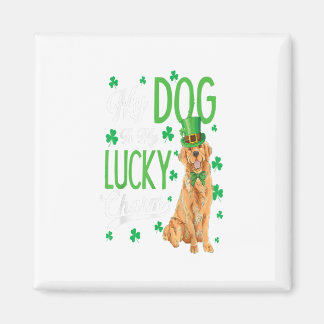 Aimant Golden Retriever St. Patricks Day Amusant chien