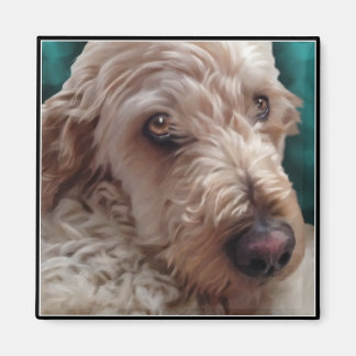 Aimant Goldendoodle