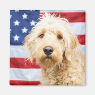 Aimant Goldendoodle avec drapeau américain