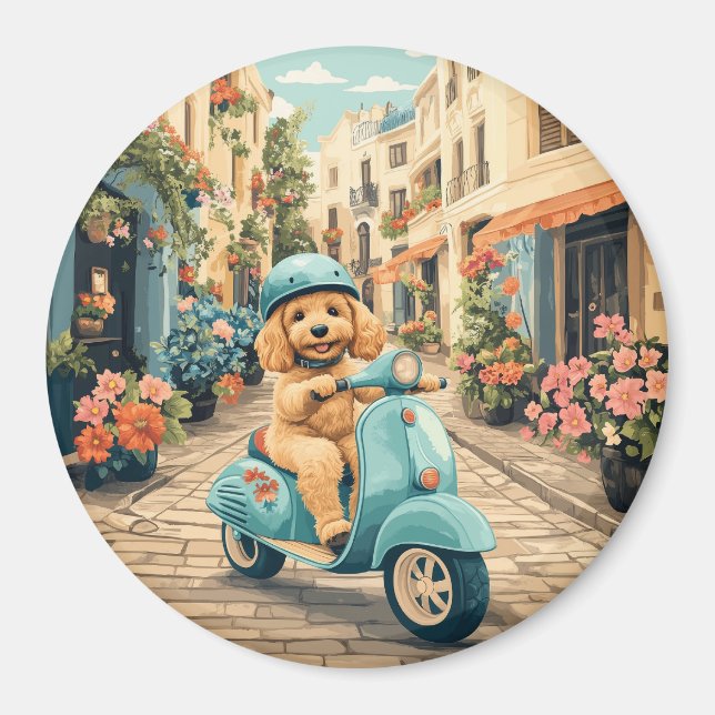 Aimant Goldendoodle Chien à scooter dans les rues europée (Devant)