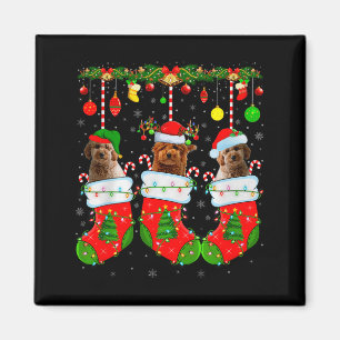 Aimant Goldendoodle en chaussettes de Noël Chien drôle d'