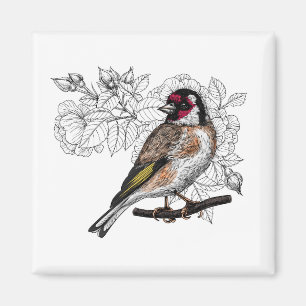 Aimant Goldfinch et rose