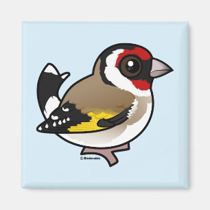 Aimant Goldfinch européen