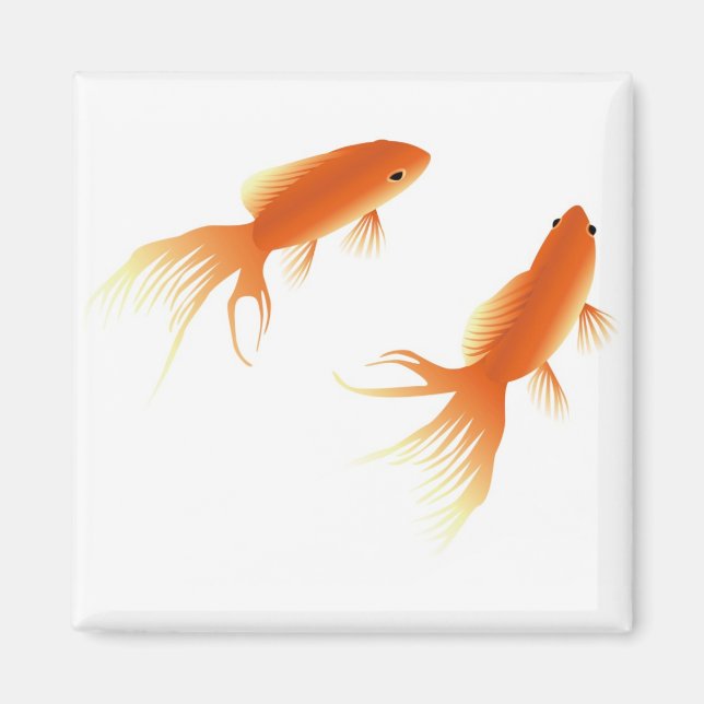AIMANT GOLDFISH (Devant)