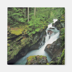 Aimant Gorge de l'Avalanche dans le parc national de Glac