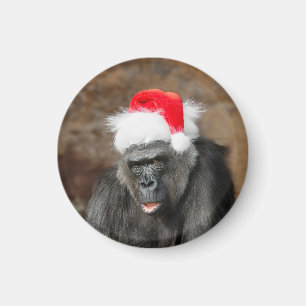 Aimant Gorilla Biddy dans un Casquette de Noël festif