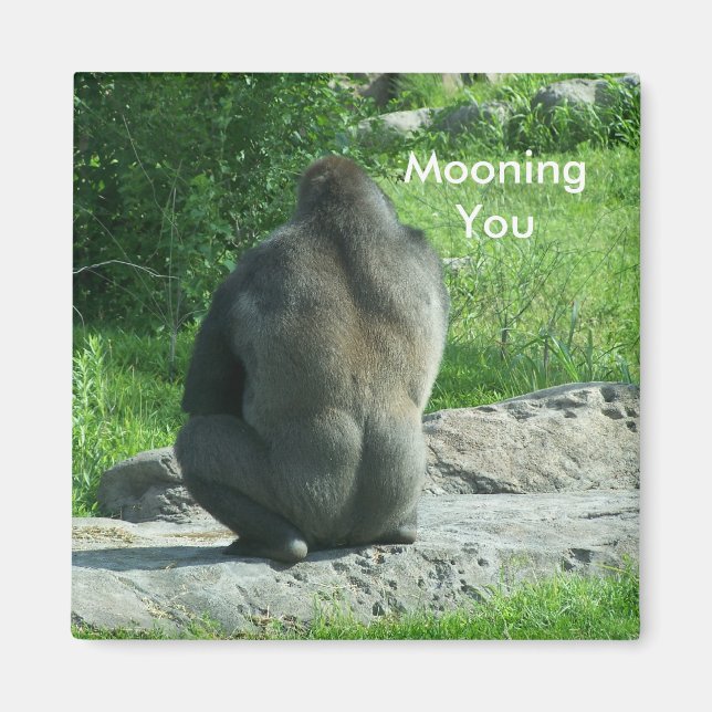 Aimant gorille à l'arrière, Mooning You (Devant)
