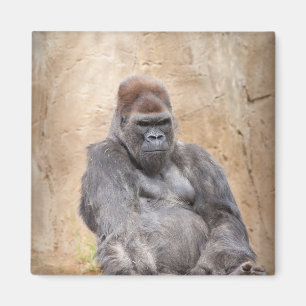 Aimant Gorille masculin