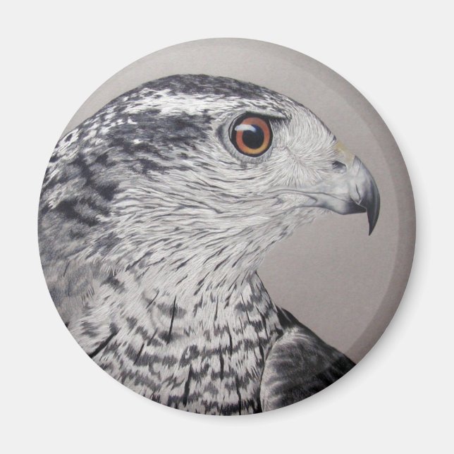 Aimant Goshawk du Nord (Devant)