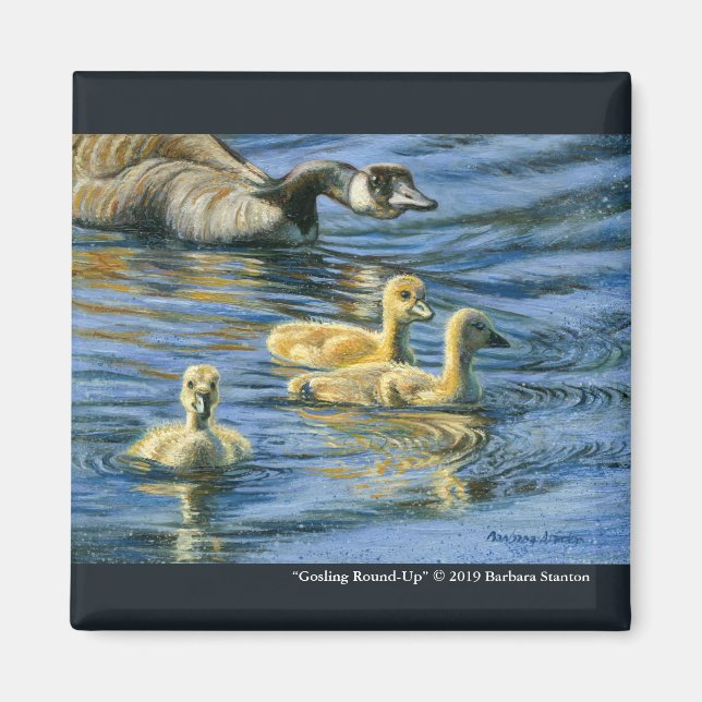 Aimant “Gosling Round-Up” (Devant)