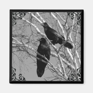 Aimant gothique de deux Ravens