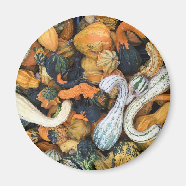 Aimant Gourdes d'automne (Devant)