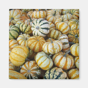 Aimant Gourtes de récolte d'automne orange et vert