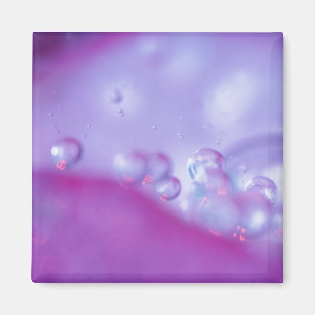 Aimant Gouttes de rosée sur un pétale de fleur abstrait.  (Devant)