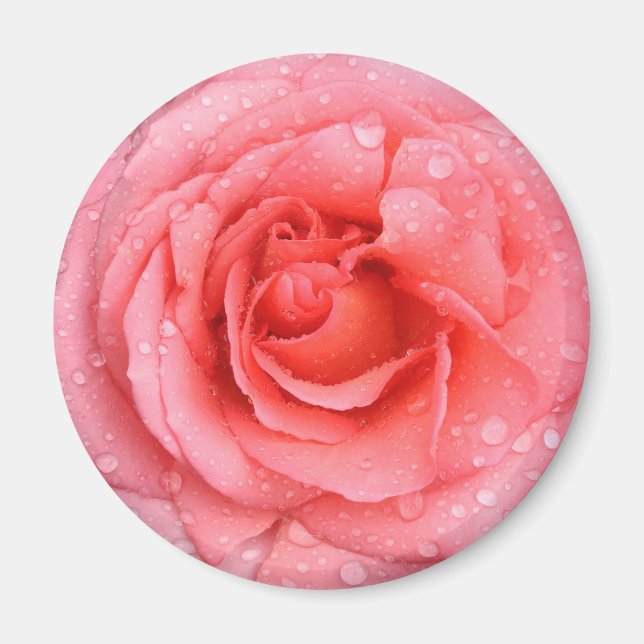 Aimant Gouttes d'eau de rose rose rouge romantique (Devant)