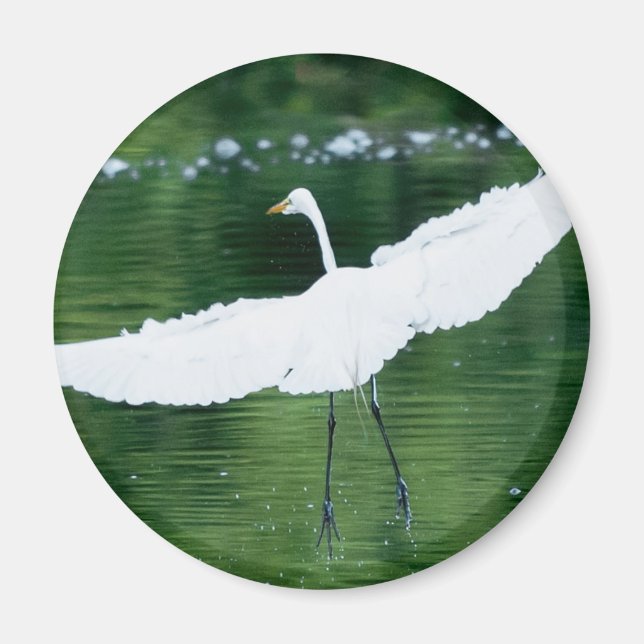 Aimant Grand Aiguille blanche (Devant)