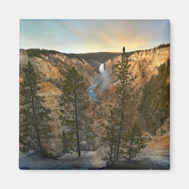 Aimant Grand Canyon de Yellowstone, Yellowstone (Devant)